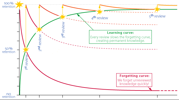  the Ebbinghaus forgetting curve