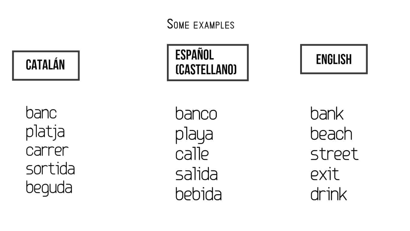 How Different is Spanish and Catalan? - Strømmen Language Classes