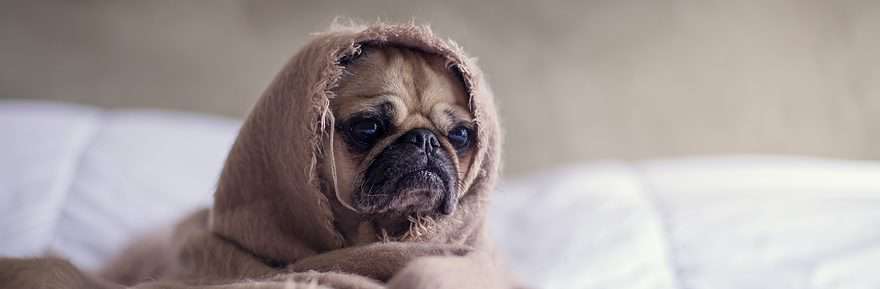 HOW TO DEAL WITH OVERWHELM WHILE LEARNING (I.E., WHAT TO DO WHEN I AM STUCK)